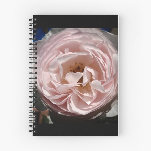 Item preview, Garden pink designed and sold by Isquaredimages.