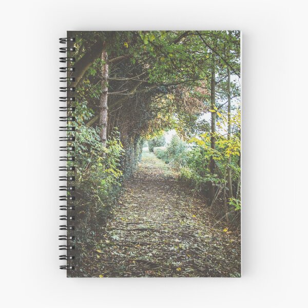 Item preview, Forest Path designed and sold by hipi.