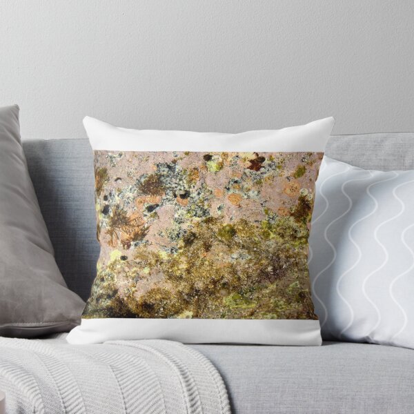 Item preview, Treasure Trove designed and sold by Brent Sisson.