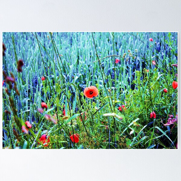 Item preview, Summer fields designed and sold by Monika Fuchs.