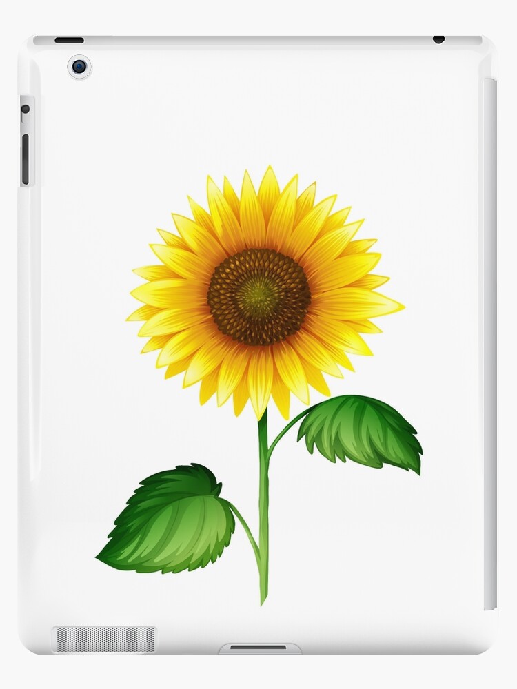 Funda y vinilo para iPad «Detallado lindo girasol» de Logic72 | Redbubble