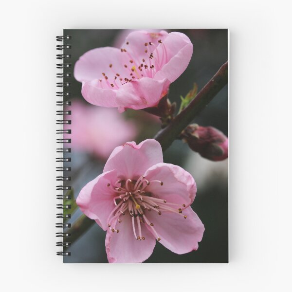 Artikelvorschau, Schöne Blüte entworfen und verkauft von Lozzie Eliza Designs.