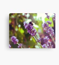Bumble Blossom Metal Print