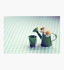 small world Photographic Print