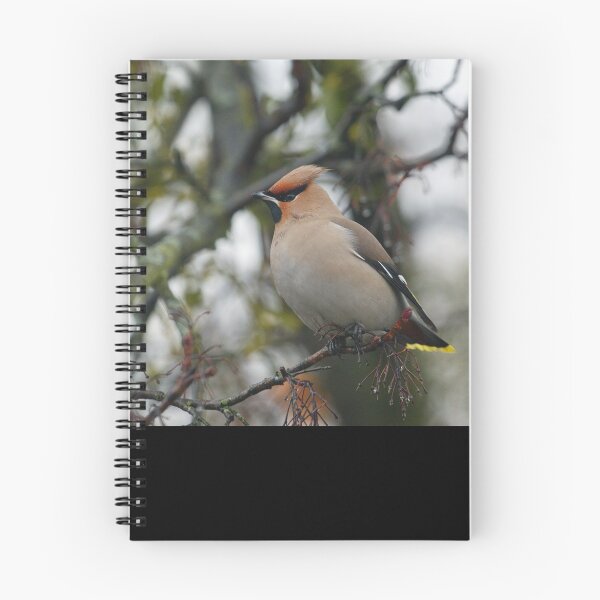 Item preview, Waxwing designed and sold by Oleksii Rybakov.