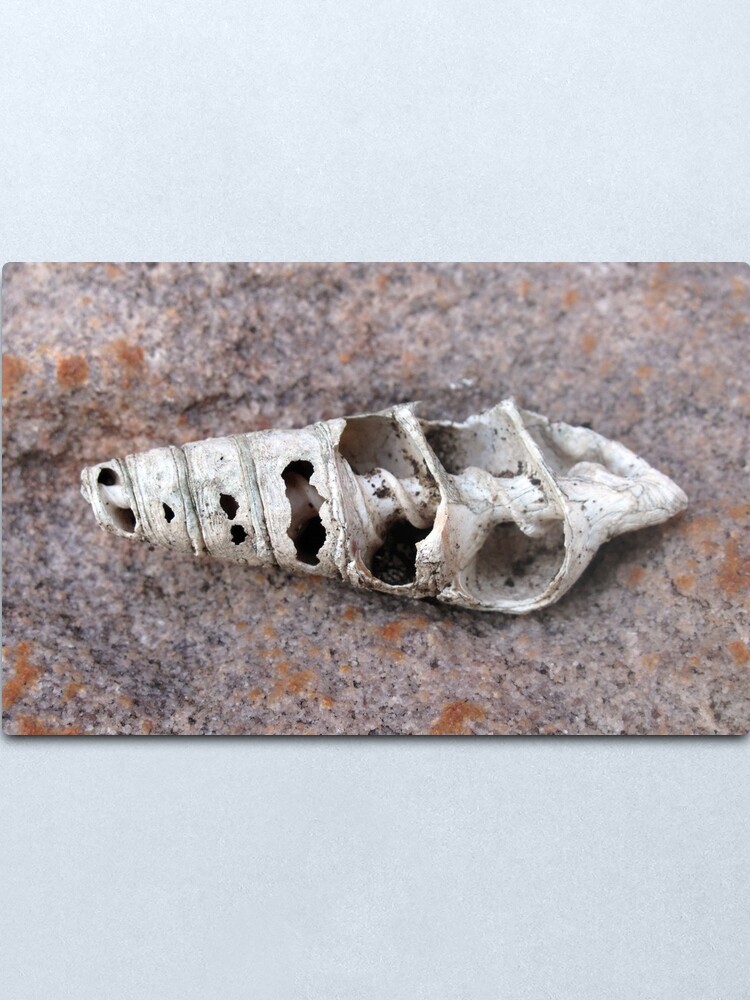 Alternate view of Ancient Metal Print