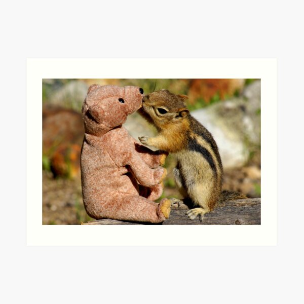 Jasper Like Likes Bear Art Print