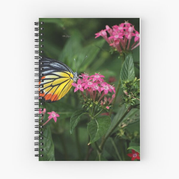Item preview, Copy of Butterfly designed and sold by FelixQ66.