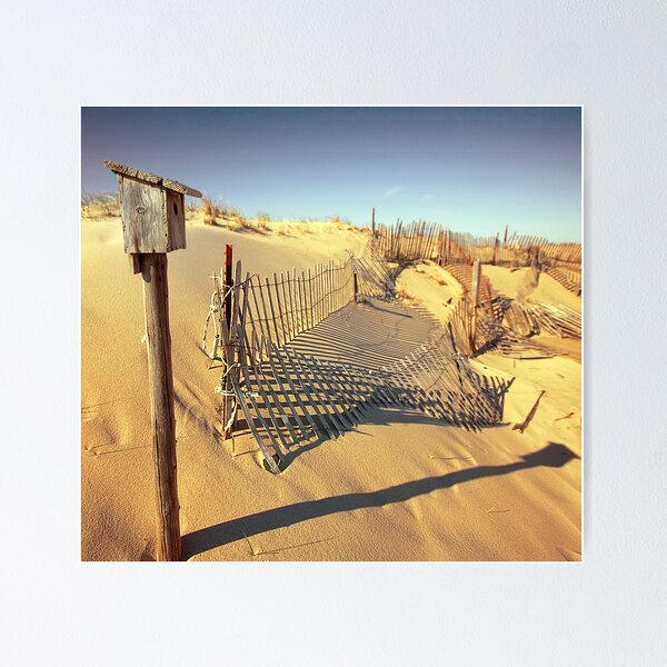 Cape Cod Dune Fence Poster