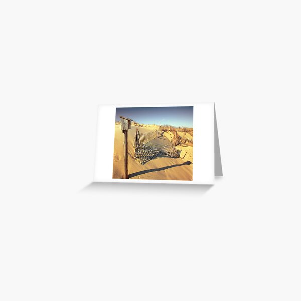 Cape Cod Dune Fence Greeting Card
