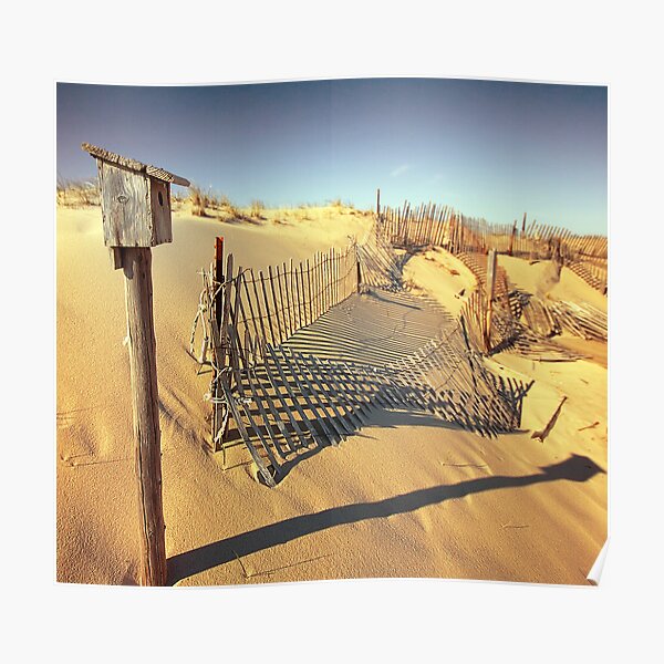 Cape Cod Dune Fence Poster