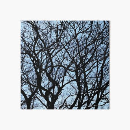 Violet forest Art Board Print