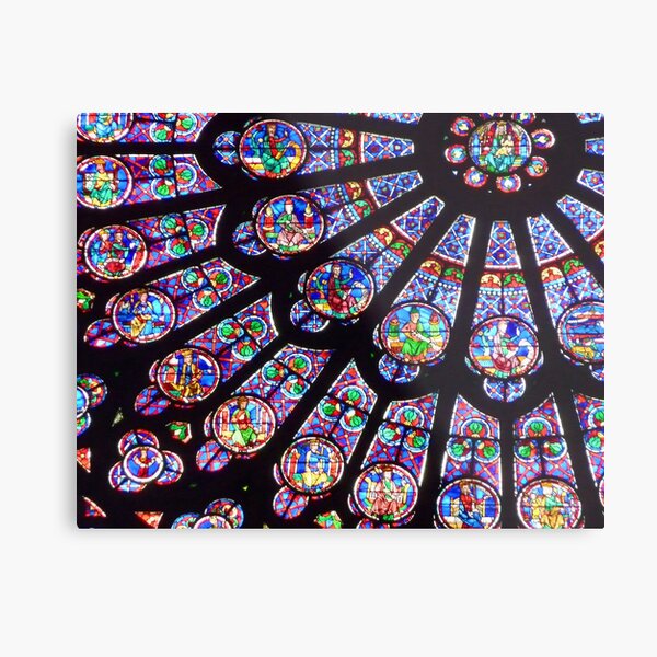 North Rose Metal Print
