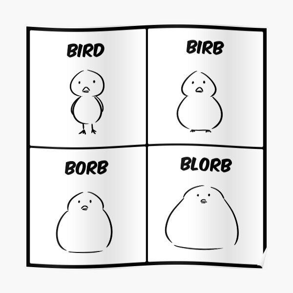 Bird Birb Borb Blorb&quot; Poster by lifewithbirds | Redbubble