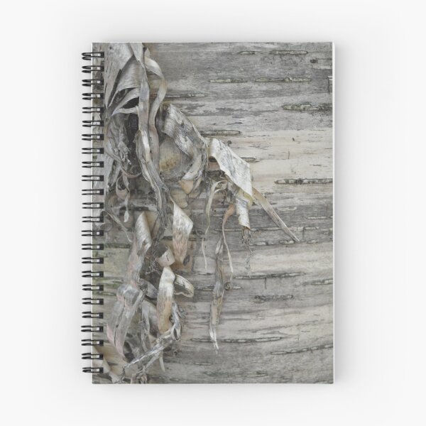 Item preview, birch tree bark designed and sold by tinatippettshop.