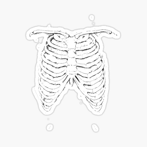 Item preview, Ribcage bywhacky designed and sold by designbywhacky.