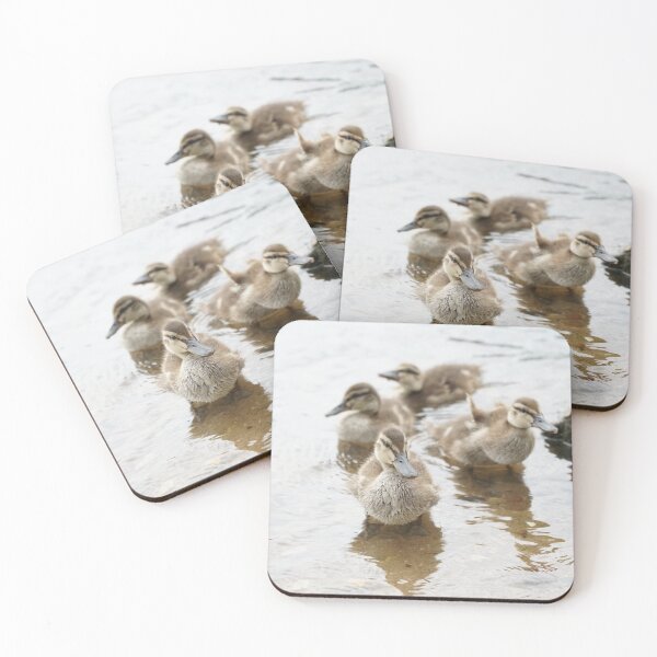 Item preview, Ducklings designed and sold by BlackoutPhotos.