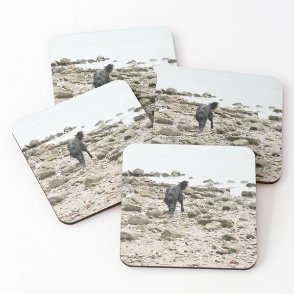 Item preview, Dog on the beach designed and sold by BlackoutPhotos.
