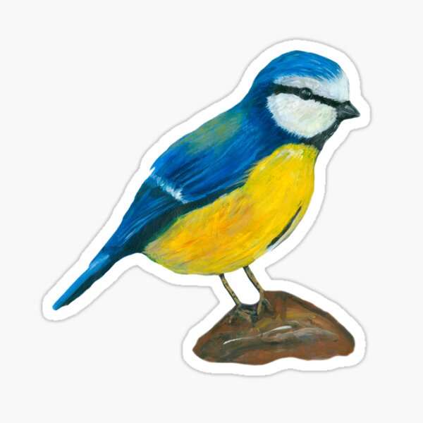 Blue tit Sticker