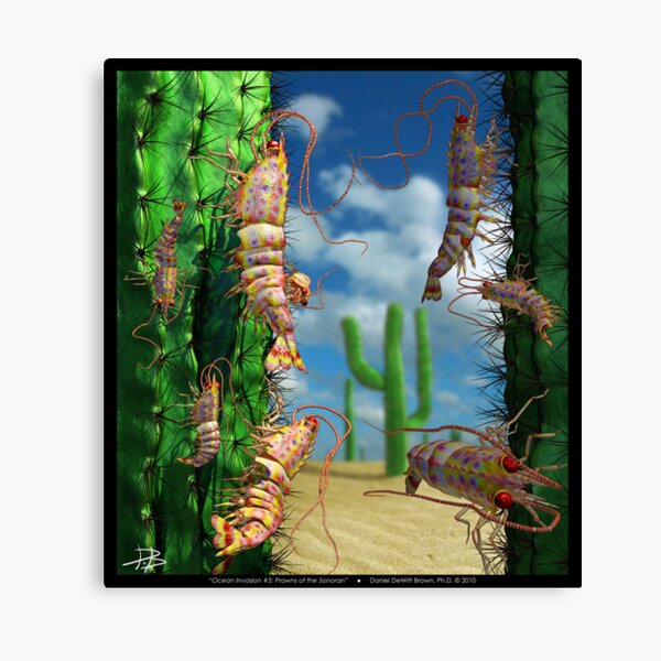 Ocean Invasion #5: Prawns of the Sonoran Canvas Print