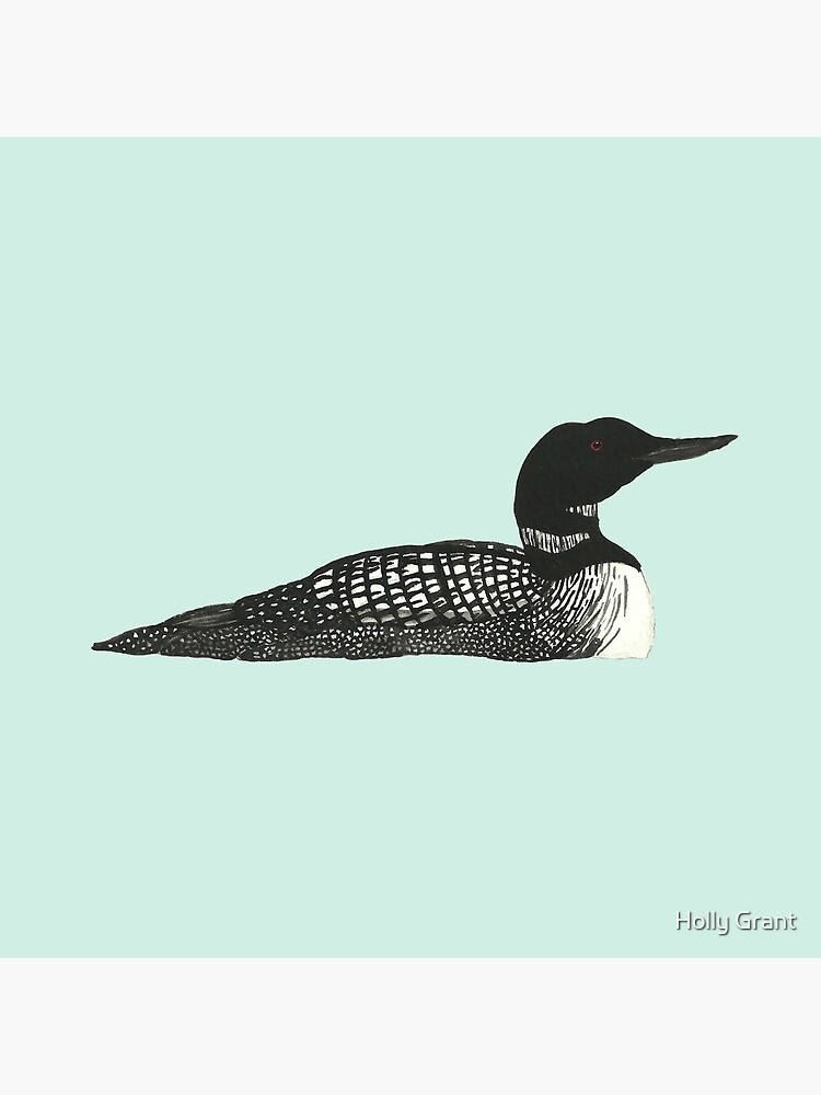 Common Loon by LadyElizabeth