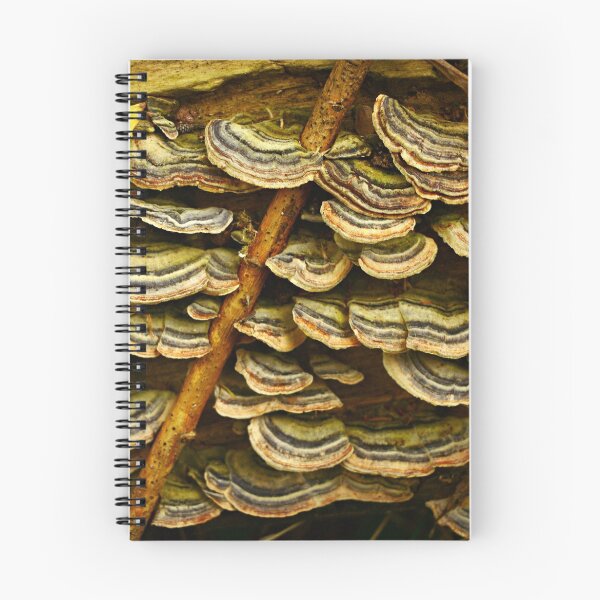 Item preview, Fungi Frills designed and sold by Alexandra Lavizzari.