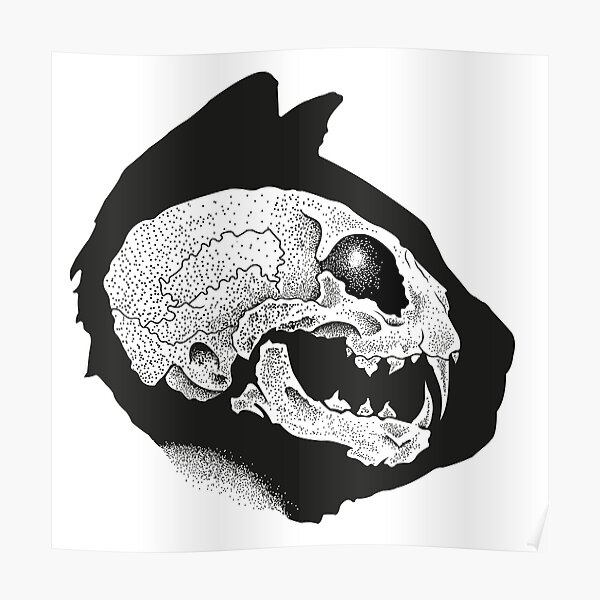 Chaton Posters For Sale Redbubble