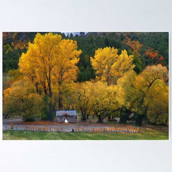 Item preview, Autumn Arrowtown Wedding  designed and sold by Peter Hammer.