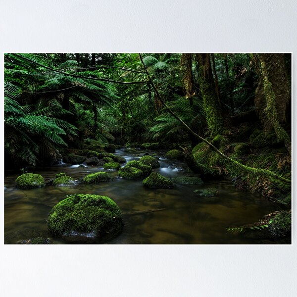Item preview, Columbia Falls designed and sold by Tony Phillips.