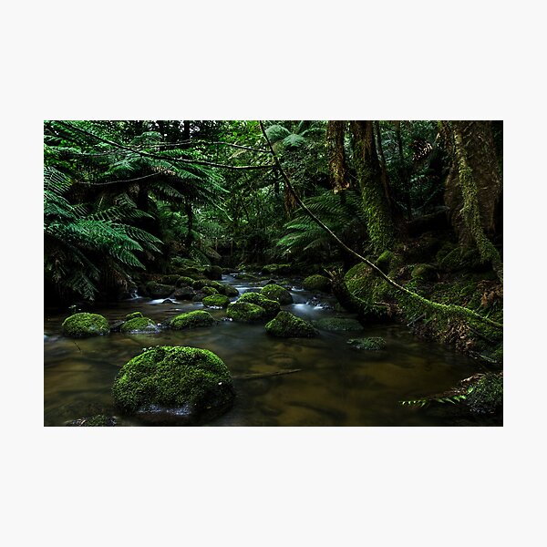 Item preview, Columbia Falls designed and sold by Tony Phillips.