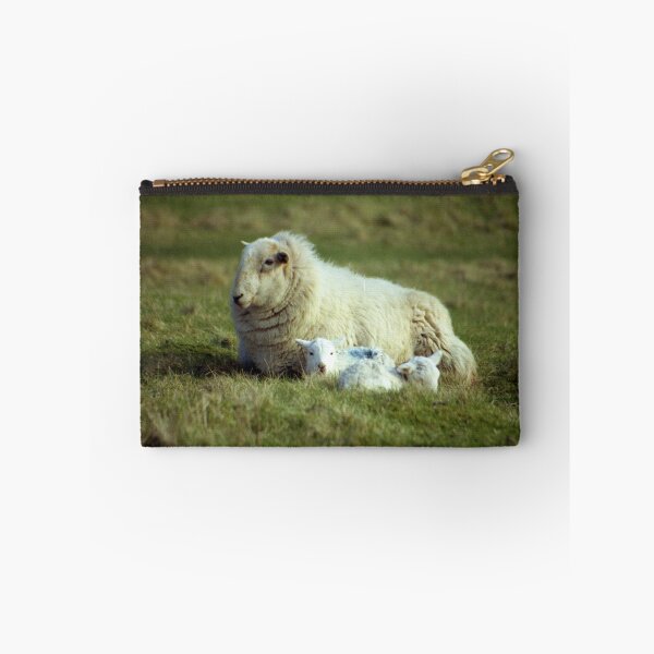 Item preview, Springtime in Llanfairfechan. designed and sold by Michael Haslam.