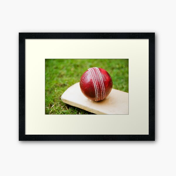 Item preview, Cricket designed and sold by Steve Woods.