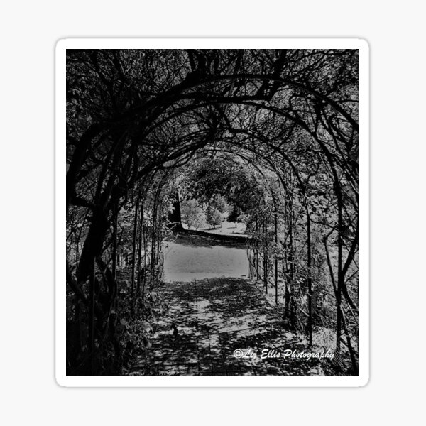Item preview, The Archway designed and sold by LizEllisPhotos.