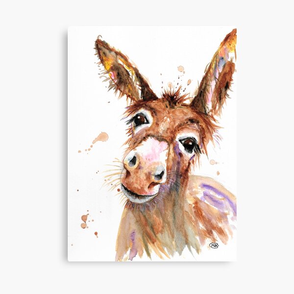 Cute Donkey face Canvas Print