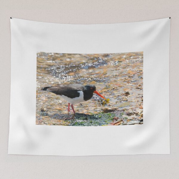Item preview, Eurasian Oystercatcher designed and sold by Sue Robinson.