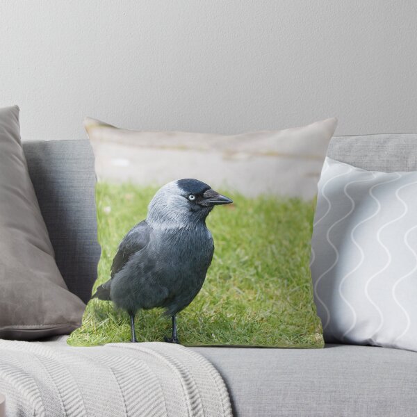 Item preview, Eurasian Jackdaw designed and sold by Sue Robinson.