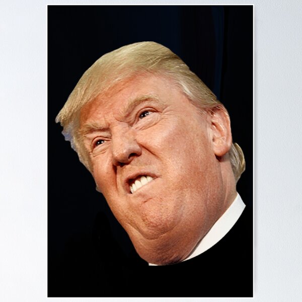 Item preview, Donald Trump Wall Art designed and sold by emilywerfel.