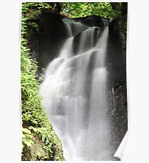 Glenariff Forest Poster