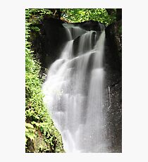 Glenariff Forest Photographic Print