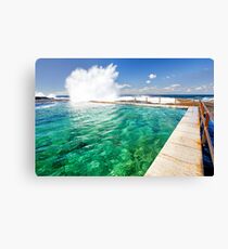 north curl curl pool Canvas Print