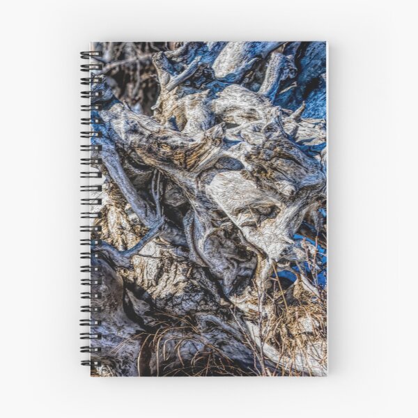 Item preview, Driftwood HDR. designed and sold by CanadianWild418.