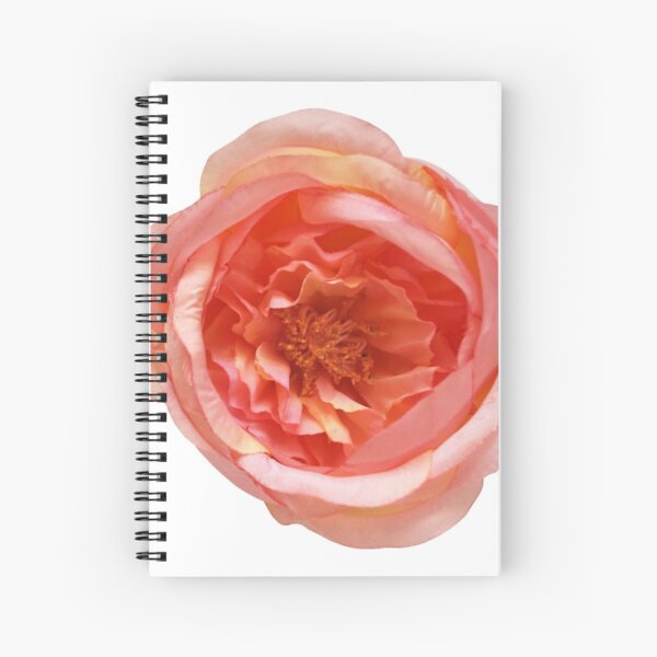 Rose Living Coral Spiralblock