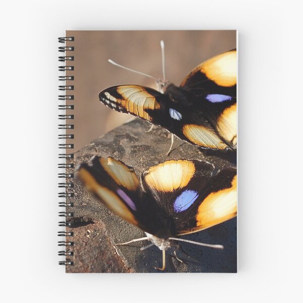 Item preview, FEMALE YELLOW PANSY - Genus Junonia, Pansies  designed and sold by Magriet Meintjes.