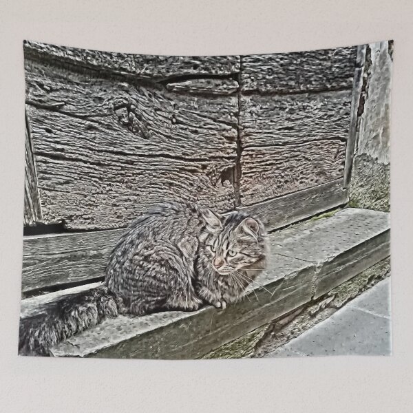 Item preview, Street cat in Pitigliano  designed and sold by Attiva.