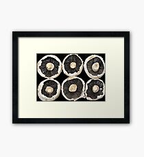 Rows of Mushroom Caps Framed Print