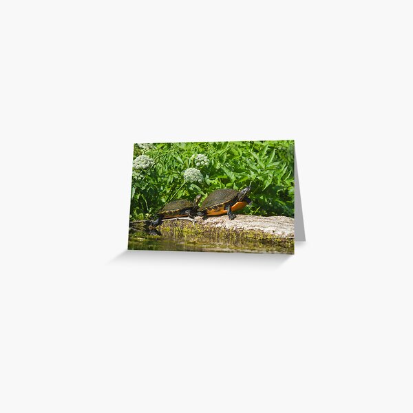 Two on a log Greeting Card