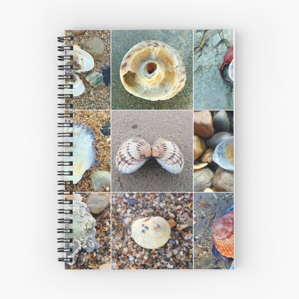 Item preview, shell designed and sold by KathleenDawson.
