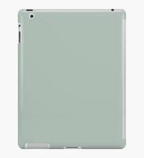 Farbe Asche iPad-Hülle & Klebefolie