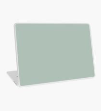 Color Ash Laptop Skin