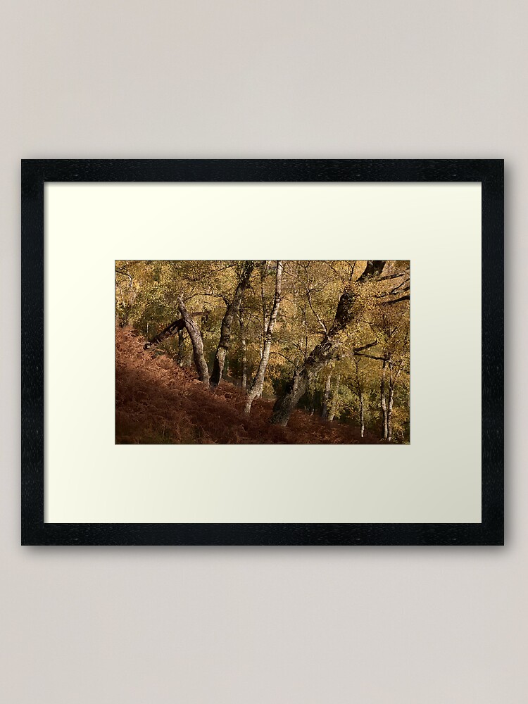 Alternate view of Line of Birches Framed Art Print